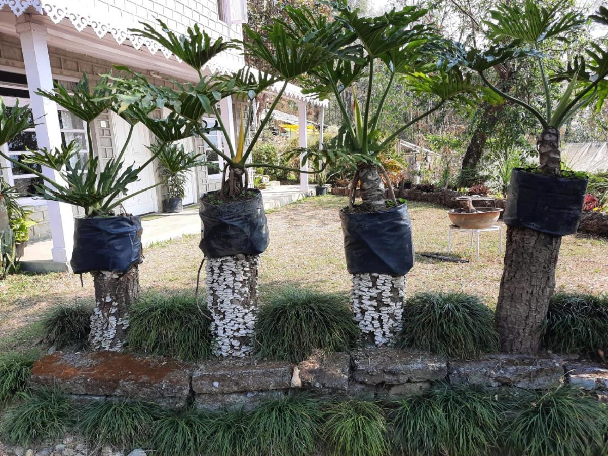 Aaravi Garden Homestay Kalimpong Bagian luar foto