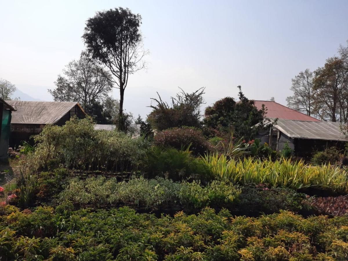 Aaravi Garden Homestay Kalimpong Bagian luar foto